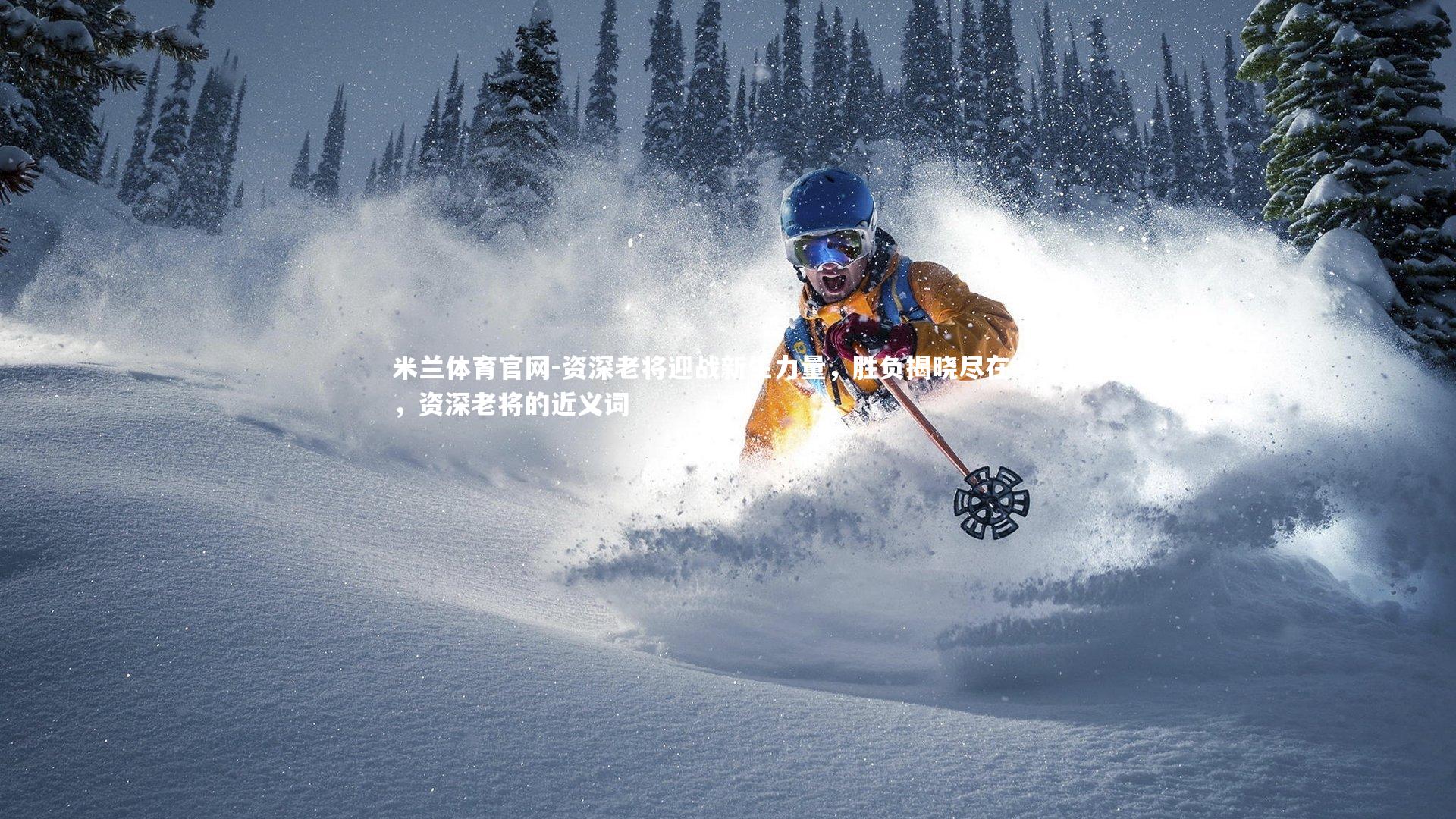 资深老将迎战新生力量,胜负揭晓尽在今晚,资深老将的近义词