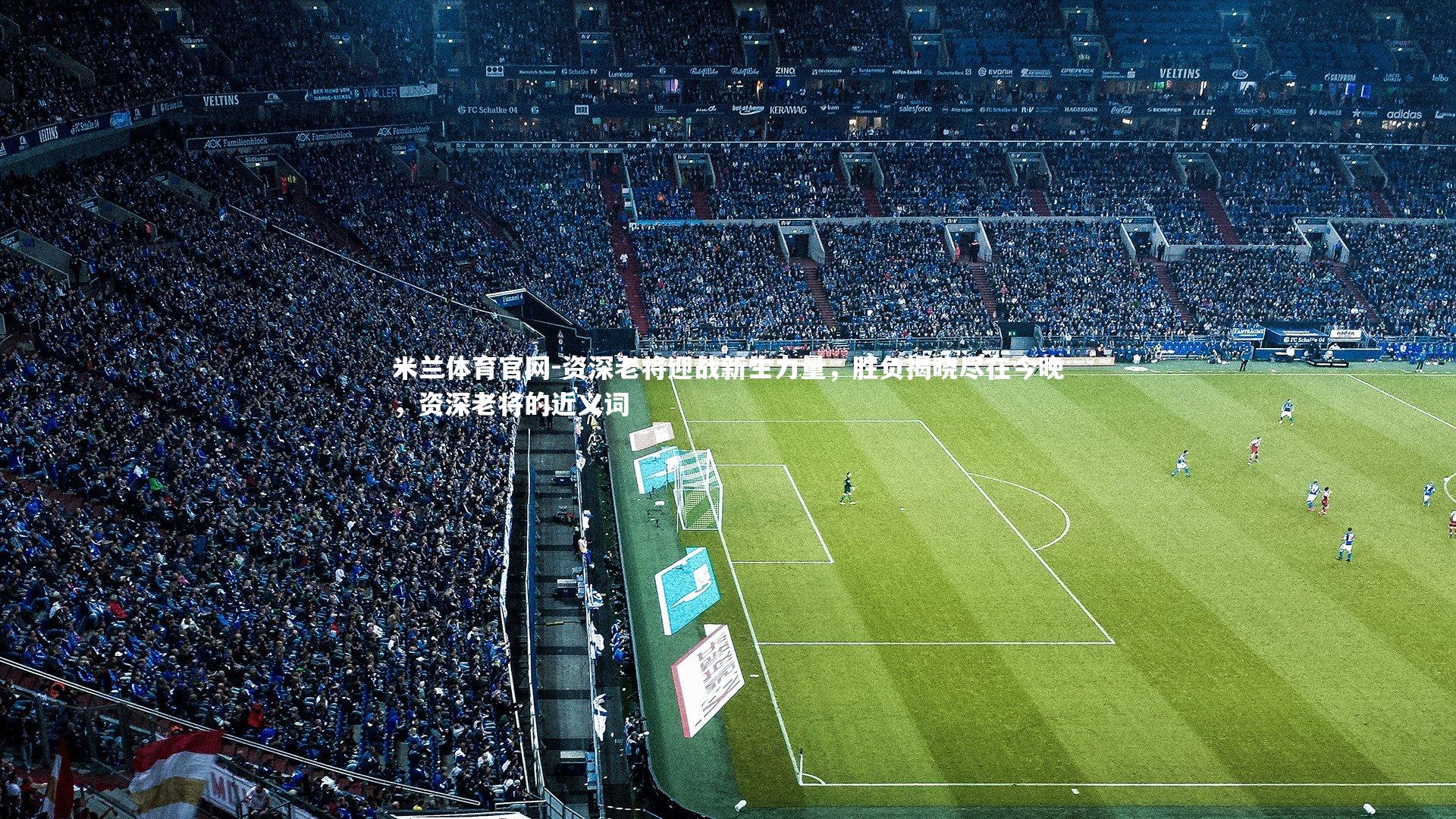 资深老将迎战新生力量,胜负揭晓尽在今晚,资深老将的近义词