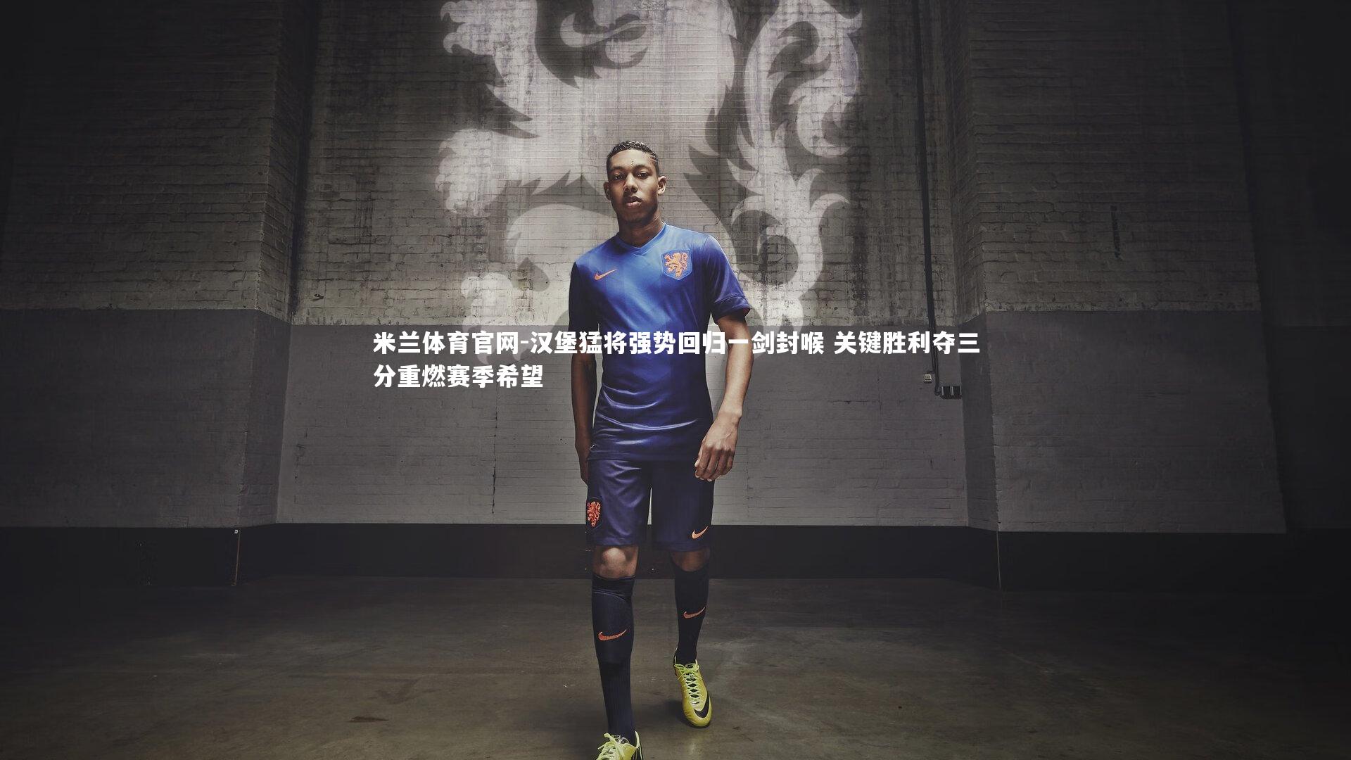 米兰体育官网-汉堡猛将强势回归一剑封喉 关键胜利夺三分重燃赛季希望